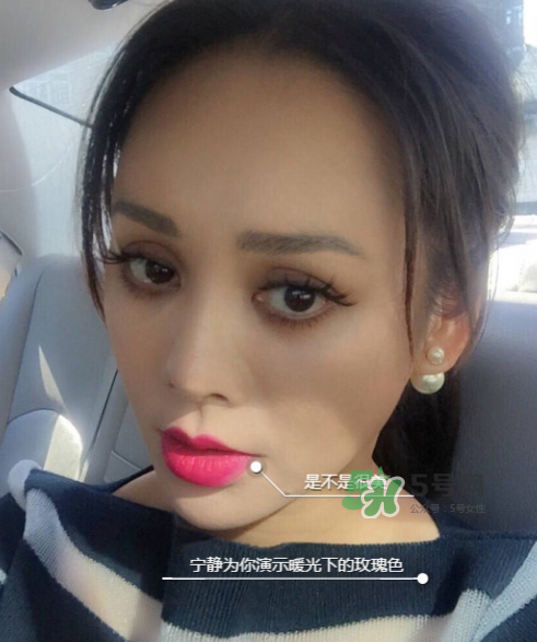 ysl208是什么顏色？ysl208適合黃皮嗎？