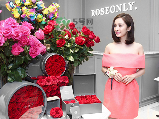 roseonly音樂盒多少錢？roseonly音樂盒歌曲名