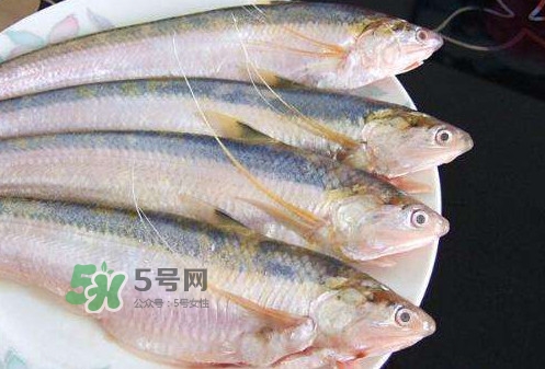 鰣魚刺多嗎？鰣魚可以養(yǎng)殖嗎