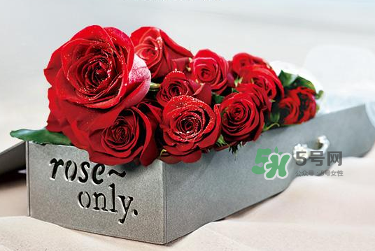 roseonly永生花可以保存多久？roseonly永生花保養(yǎng)