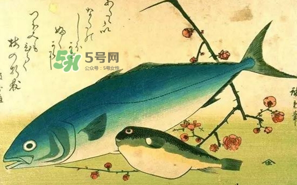 河鲀可以養(yǎng)嗎？河鲀有毒為什么還要吃