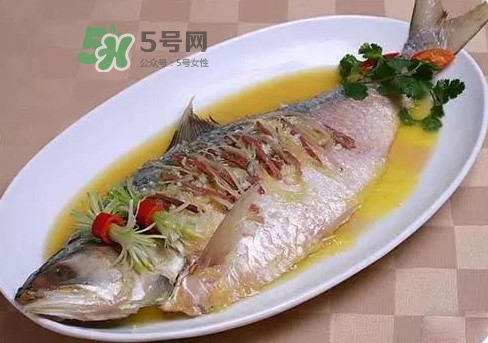 鰣魚怎么讀？鰣魚是什么魚