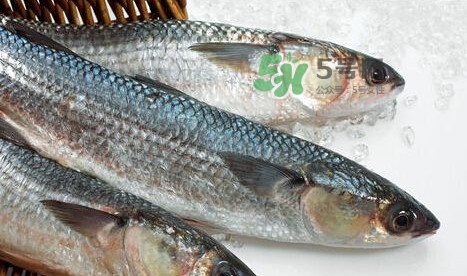 鰣魚多少錢一斤？長江鰣魚多少錢一斤2017