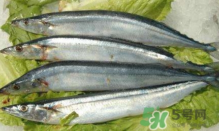 鰣魚和刀魚哪個(gè)貴？長(zhǎng)江三鮮哪個(gè)最貴
