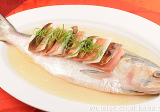 為什么吃清蒸海鰣魚都是半條？鰣魚有什么營(yíng)養(yǎng)價(jià)值
