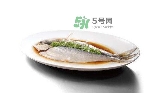 鰣魚刺多嗎？鰣魚可以養(yǎng)殖嗎