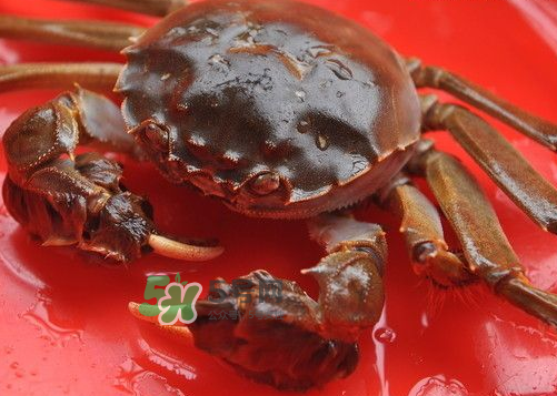 大閘蟹可以帶上高鐵嗎？坐高鐵可以帶大閘蟹嗎？