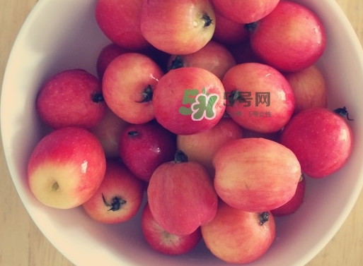 海棠果是涼性的嗎？海棠果是熱性還是涼性