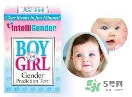 intelligender價格多少？intelligender多少錢？