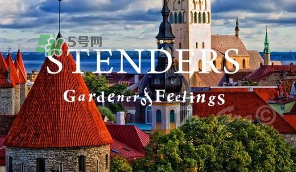 施丹蘭孕婦可以用嗎？stenders施丹蘭懷孕可以用嗎
