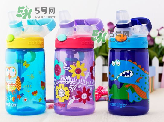 contigo水杯怎么樣？contigo水杯是什么材質(zhì)？