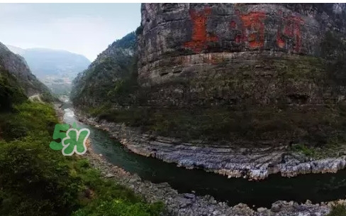 茅臺酒為什么那么貴？茅臺酒為什么這么貴