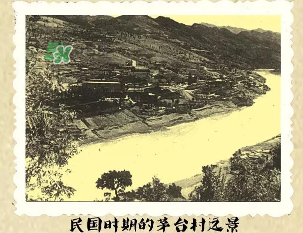 茅臺酒為什么那么貴？茅臺酒為什么這么貴