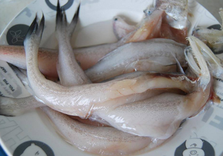 買(mǎi)龍頭魚(yú)怎么挑選？冰凍龍頭魚(yú)怎么去內(nèi)臟