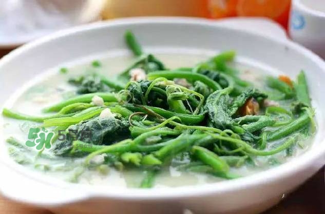 南瓜苗怎么做好吃？南瓜苗怎么撕？