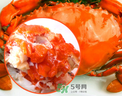 海螃蟹什么時候最肥？海螃蟹什么季節(jié)最好吃？