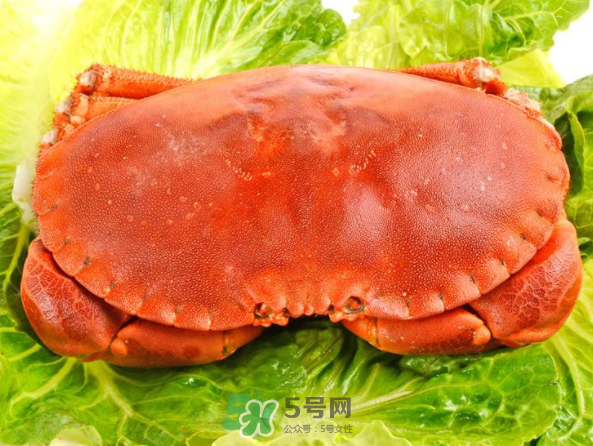 面包蟹和帝王蟹哪個(gè)好吃？面包蟹好吃還是帝王蟹好吃？
