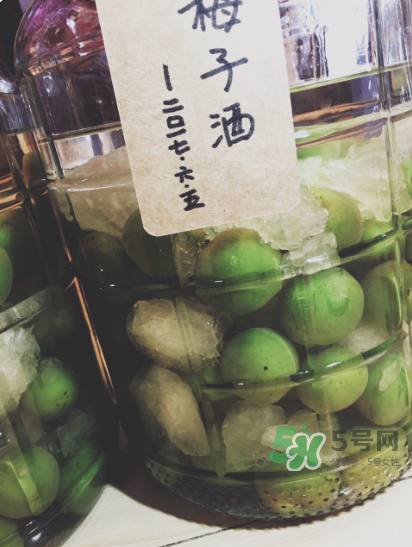 自制青梅酒的做法 青梅酒泡多久可以喝？