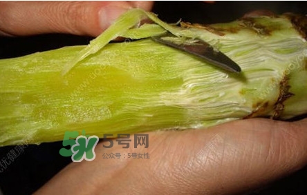 青筍怎么處理？青筍怎么切成菱形