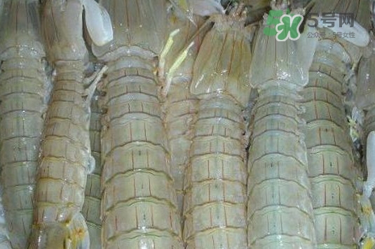 蝦蛄怎么讀？蝦蛄多少錢一斤