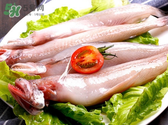 龍頭魚是海魚嗎？龍頭魚是海鮮嗎