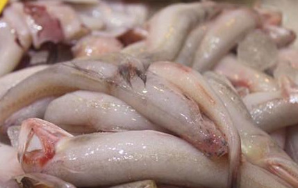 龍頭魚怎么做好吃？龍頭魚干怎么做好吃
