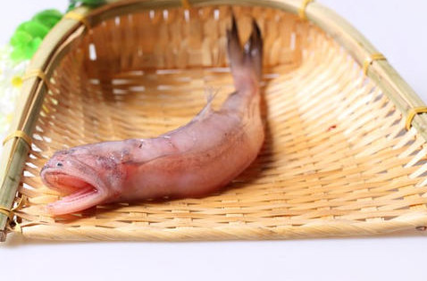 龍頭魚怎么做好吃？龍頭魚干怎么做好吃