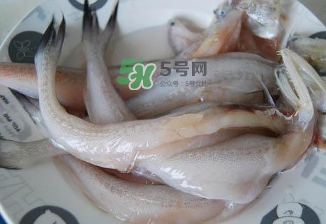 龍頭魚怎么殺？龍頭魚怎么處理？