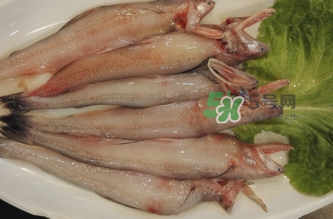 龍頭魚怎么殺？龍頭魚怎么處理？