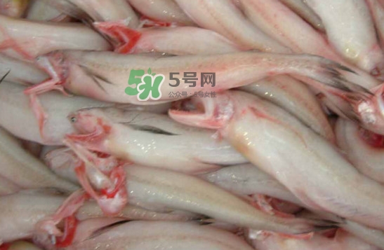 龍頭魚怎么炸？龍頭魚怎么做湯