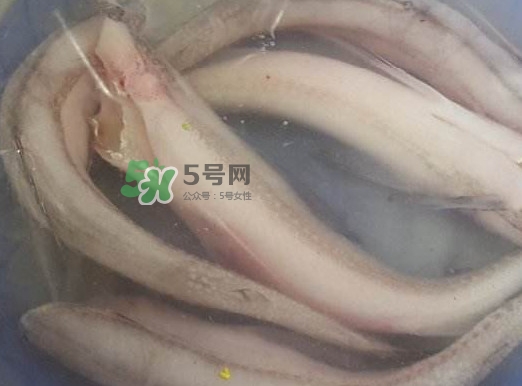 買龍頭魚怎么挑選？冰凍龍頭魚怎么去內(nèi)臟