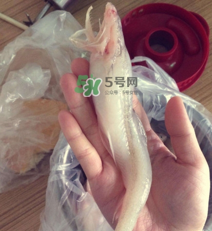 海鮮水潺孕婦可以吃嗎？水潺魚的營養(yǎng)價值