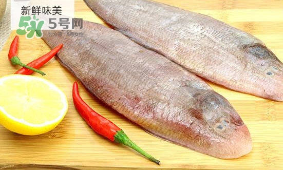 龍利魚怎么挑選？龍利魚與越南巴沙魚的區(qū)別