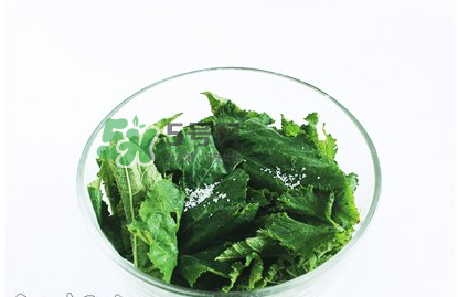 南瓜苗怎么做好吃？南瓜苗怎么撕？