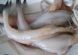 龍頭魚(yú)怎么殺？龍頭魚(yú)怎么處理？