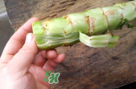 青筍怎么做好吃？青筍怎么去皮快