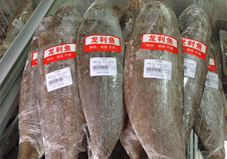 龍利魚怎么挑選？龍利魚與越南巴沙魚的區(qū)別