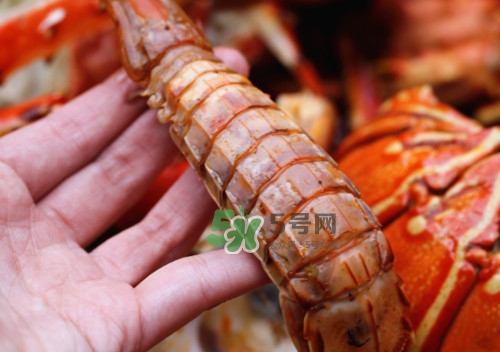 蝦蛄怎么吃？蝦蛄怎么做好吃？