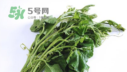南瓜苗怎么做好吃？南瓜苗怎么撕？