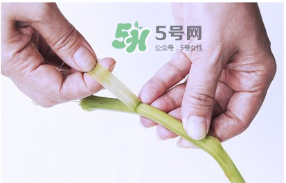 南瓜苗怎么做好吃？南瓜苗怎么撕？