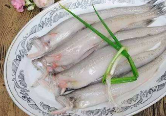 海鮮水潺孕婦可以吃嗎？水潺魚的營養(yǎng)價值