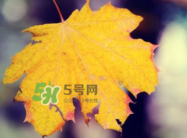 立秋后吃什么好？立秋后怎么養(yǎng)生？