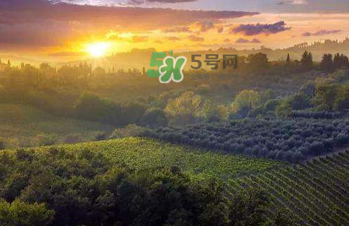 立秋后吃什么好？立秋后怎么養(yǎng)生？