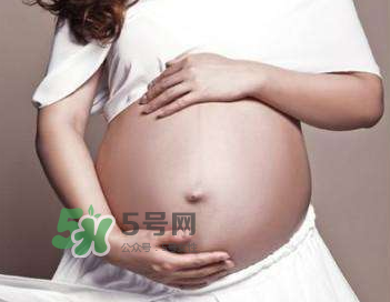 四維彩超的最佳時(shí)間 四維彩超什么時(shí)候做最好？
