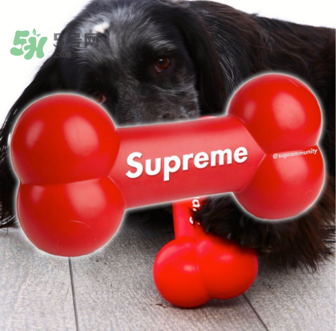 supreme狗骨頭玩具是真的嗎？supreme骨頭玩具會(huì)發(fā)售嗎？