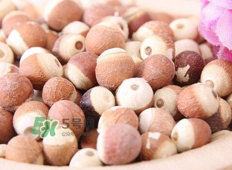 雞頭米是涼性的嗎？雞頭米是哪里的特產(chǎn)