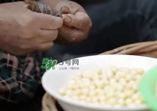 雞頭米是什么？雞頭米是芡實(shí)嗎