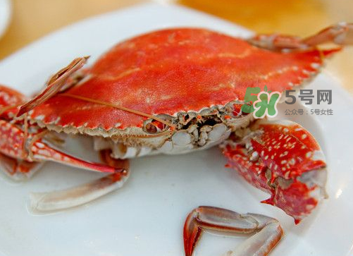 梭子蟹可以清蒸嗎？梭子蟹蒸還是煮？