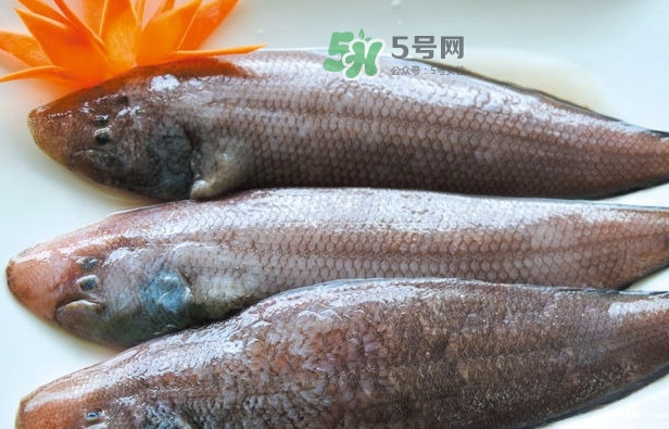龍利魚(yú)怎么做給寶寶吃？龍利魚(yú)怎么處理