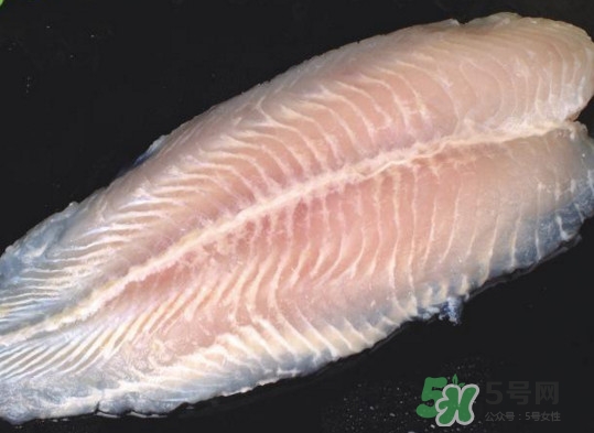龍利魚有刺嗎？龍利魚有魚鱗嗎